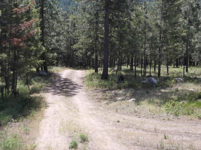 5964 Turk Road Fruitland, WA 99129 - Photo 13 of 19 Gallery Image 13