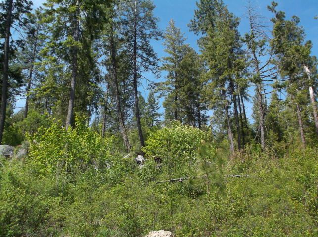 5964 Turk Road Fruitland, WA 99129 - Photo 15 of 19 Gallery Image 15