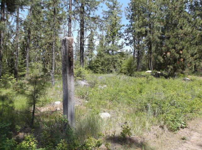 5964 Turk Road Fruitland, WA 99129 - Photo 16 of 19 Gallery Image 16