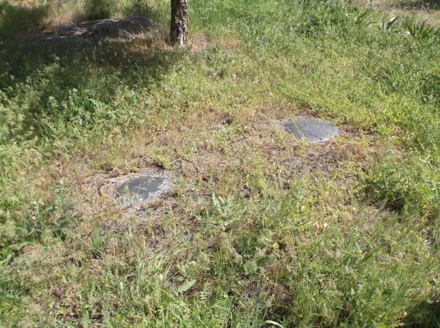 5964 Turk Road Fruitland, WA 99129 - Photo 17 of 19 Gallery Image 17