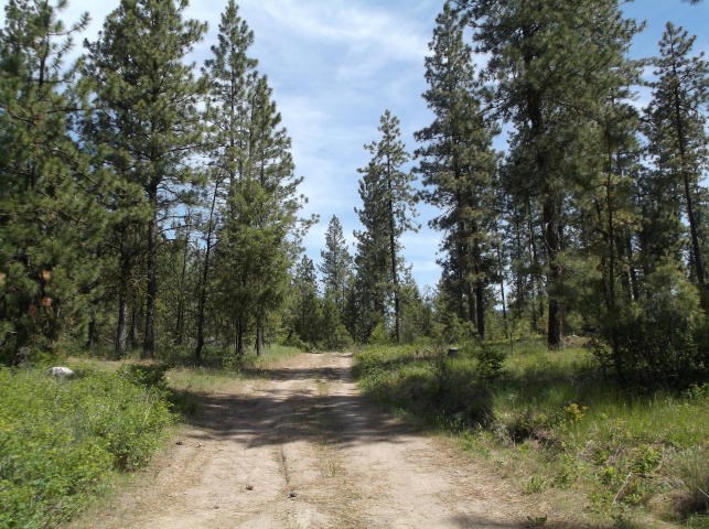 5964 Turk Road Fruitland, WA 99129 - Photo 6 of 19 Gallery Image 6