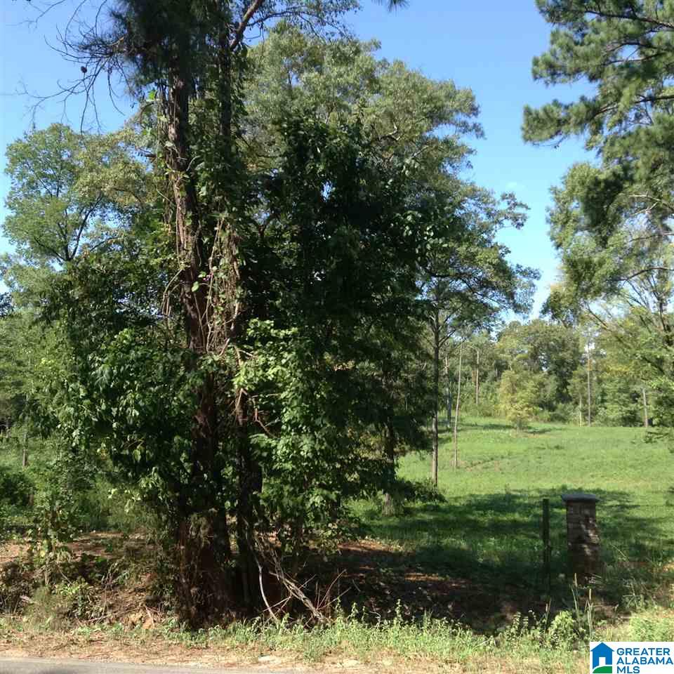 19 Highway Montevallo Al Montevallo, AL 35115 - Photo 6 of 9
