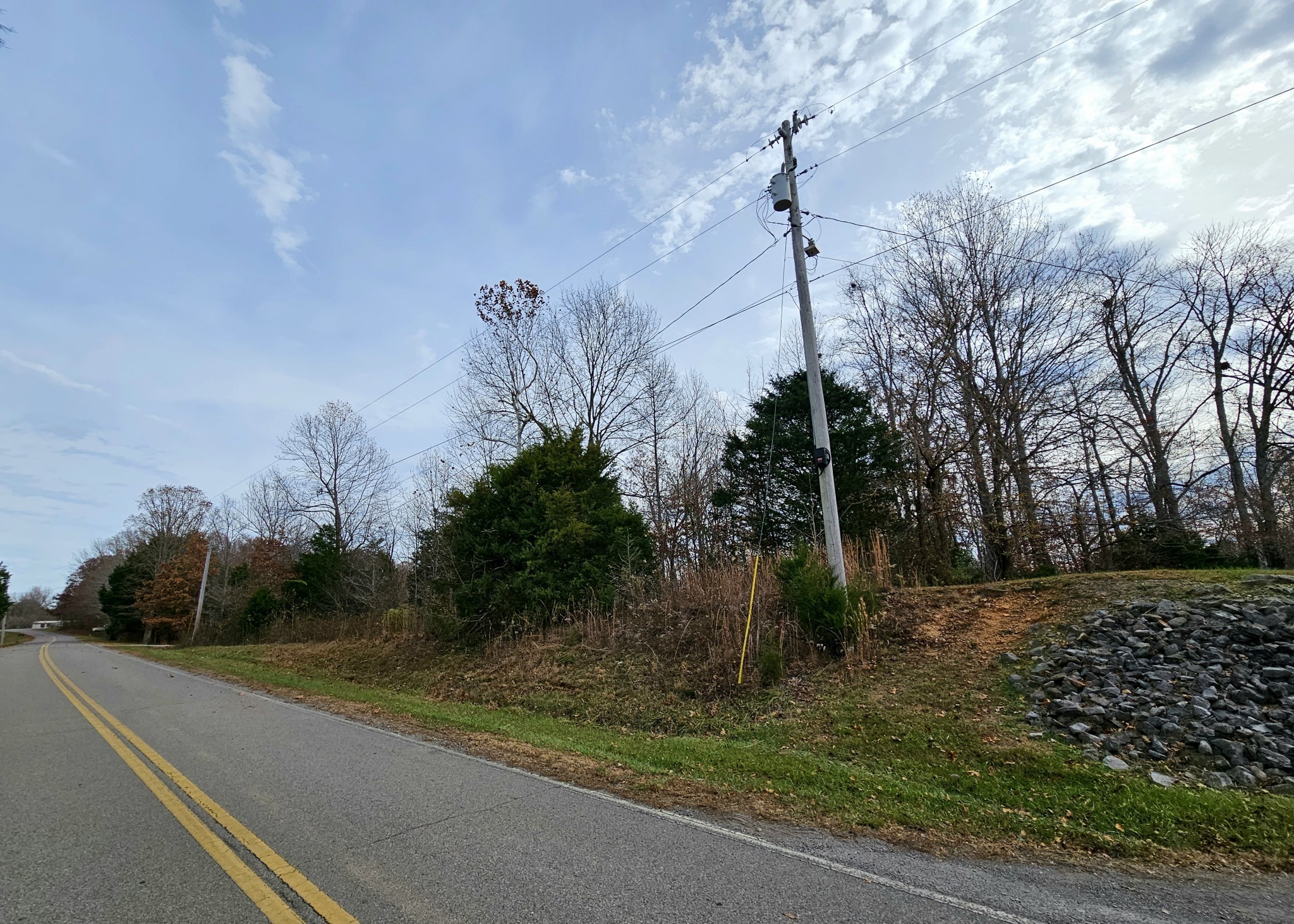 0 McFall Road Palmyra, TN 37142 - Photo 3 of 3 Gallery Image 3