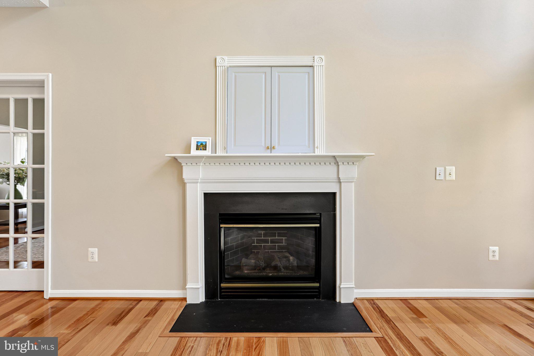 3157 Pyramid Circle Manchester, MD 21102 - Photo 11 of 67 Gas Fireplace #1