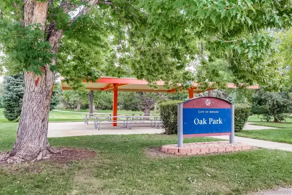 a view of a grassy field with trees in the background