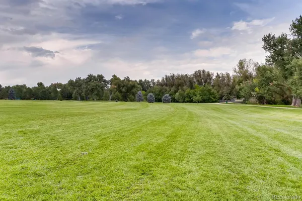 a view of park with trees
