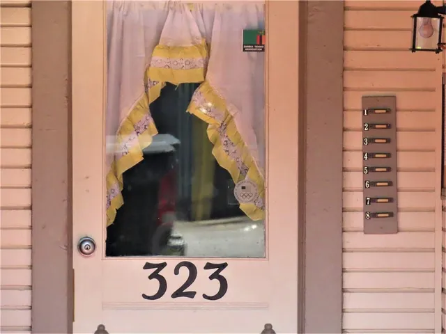 a view of a backyard with large trees