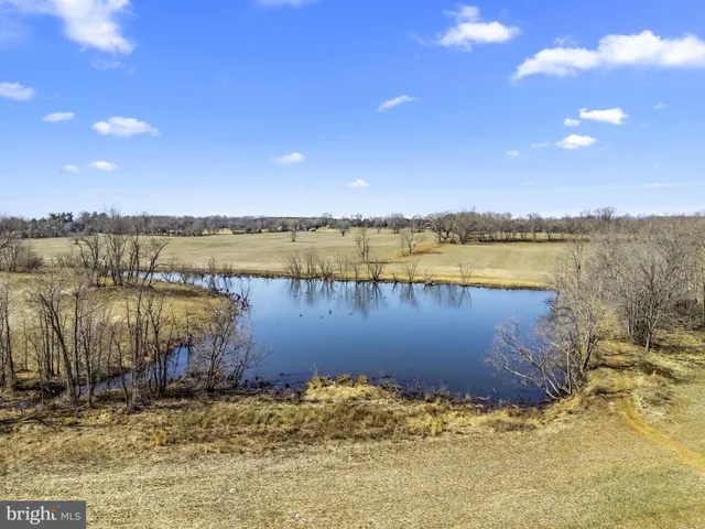 a view of a lake from a yard