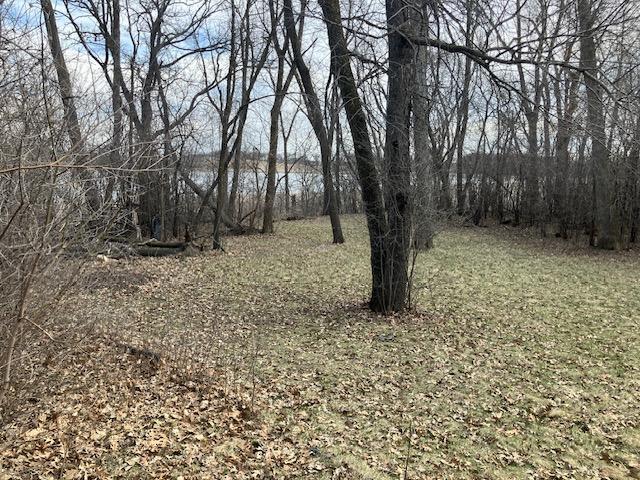 41490 State Highway 13 Waseca, MN 56093 - Photo 3 of 21