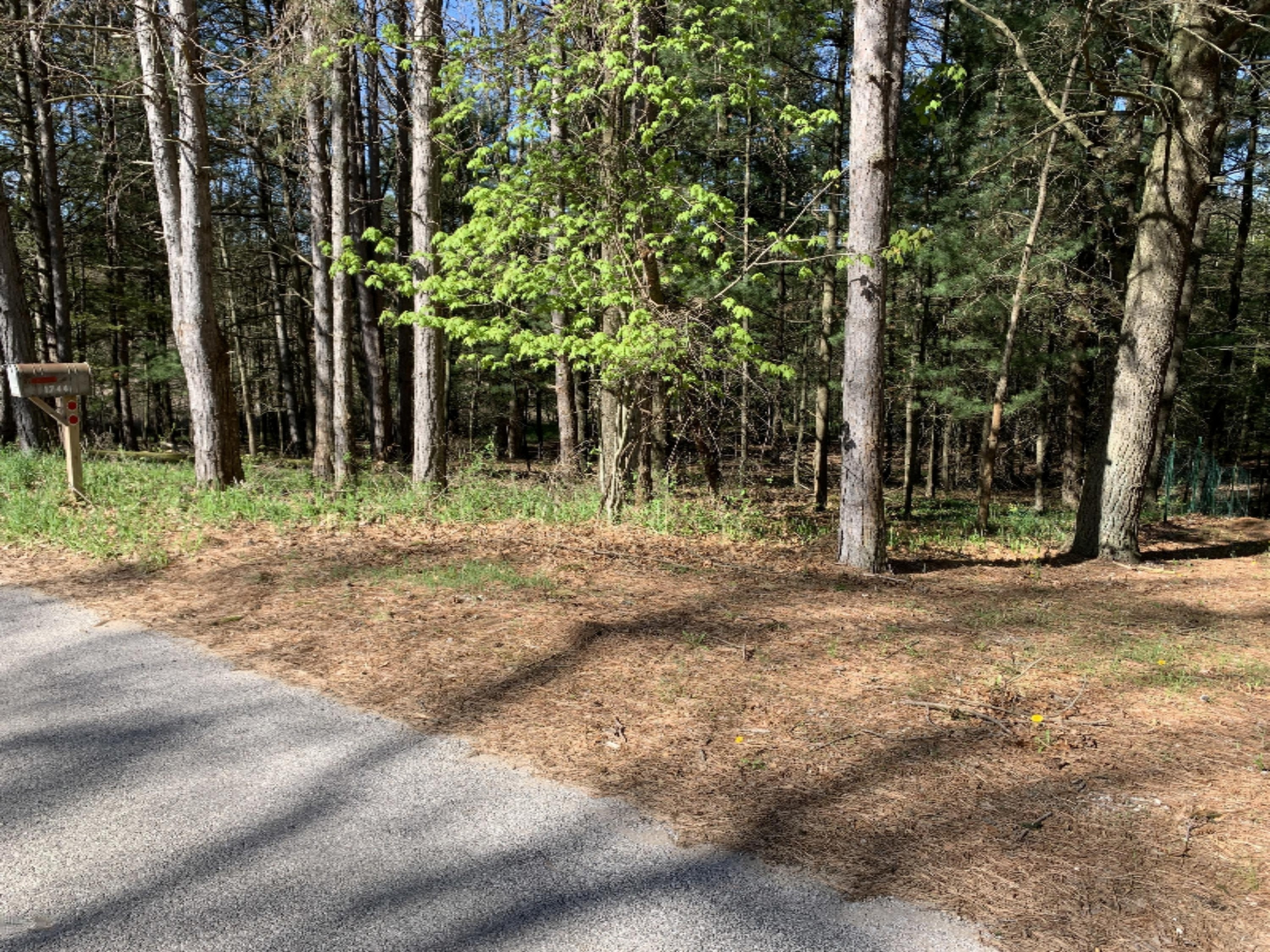 Lot 67 Ridge Road Mears, MI 49436 - Photo 2 of 4 IMG_6345
