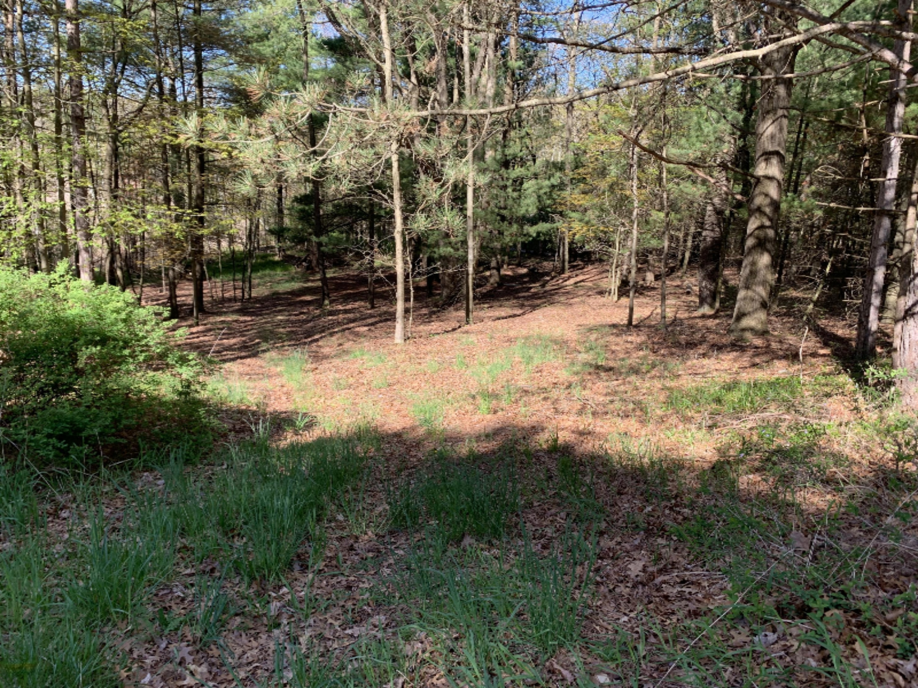 Lot 67 Ridge Road Mears, MI 49436 - Photo 4 of 4 IMG_6347