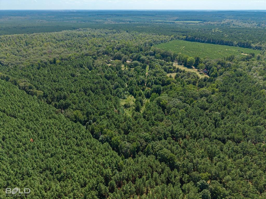0 Rocky Mt Road Plain Dealing, LA 71064 - Photo 14 of 16 Gallery Image 14