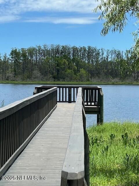 12 Mulberry Road Palm Coast, FL 32164 - Photo 40 of 47 Dock