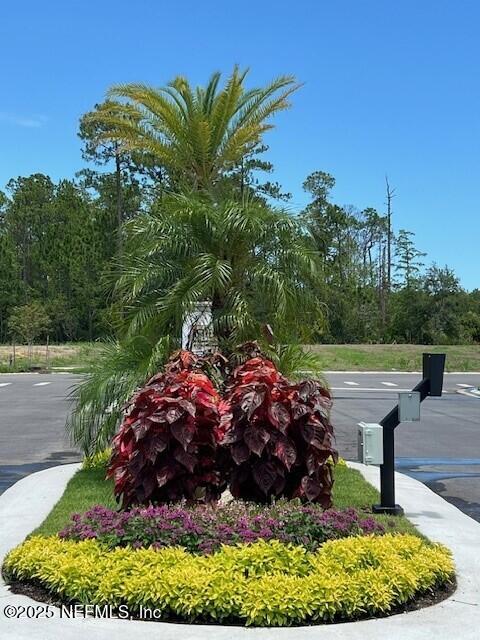 12 Mulberry Road Palm Coast, FL 32164 - Photo 43 of 47 Entrance