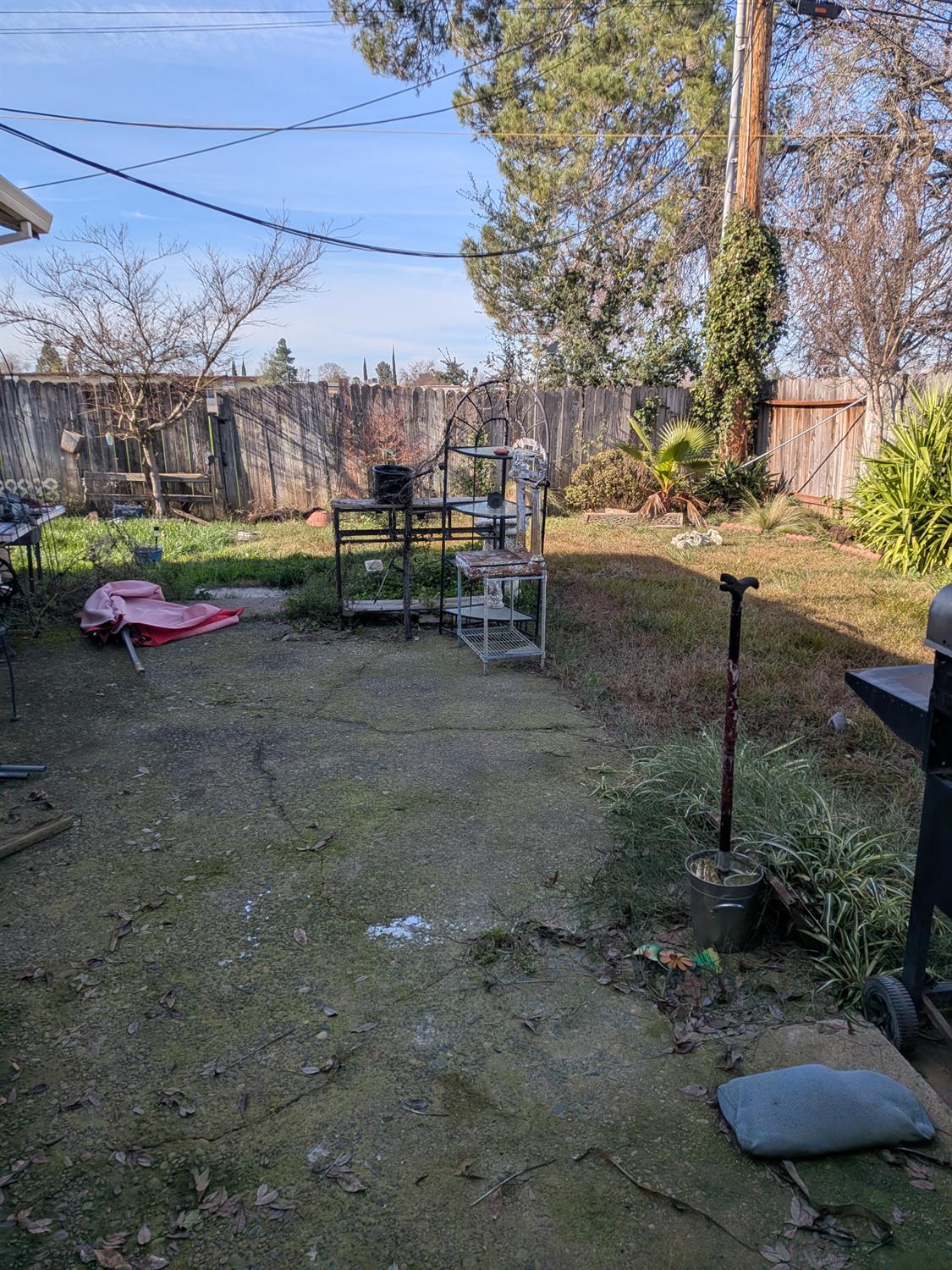 10517 Mills Acres Circle Rancho Cordova, CA 95670 - Photo 16 of 19 a view of a park with of the house