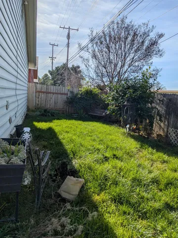 a view of a backyard with plants and trees