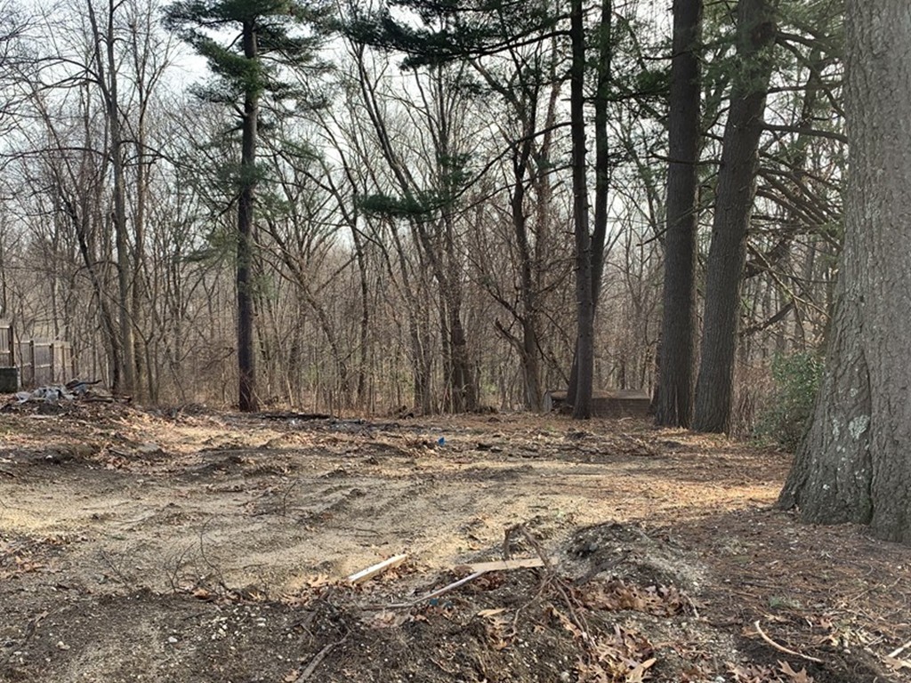 71 Aberdeen Road Springfield, MA 01109 - Photo 1 of 4 Gallery Image 1