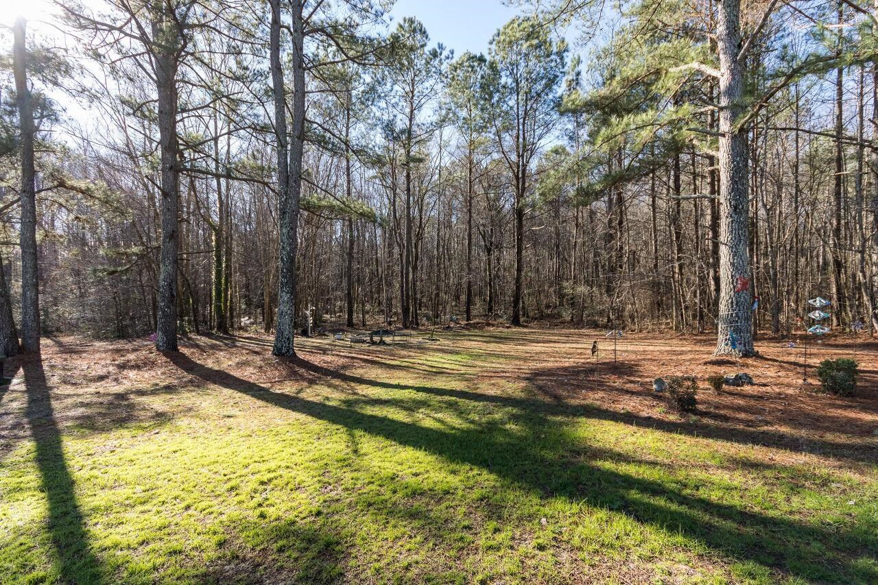 172 Davis Road Zebulon, NC 27597 - Photo 20 of 21 Yard