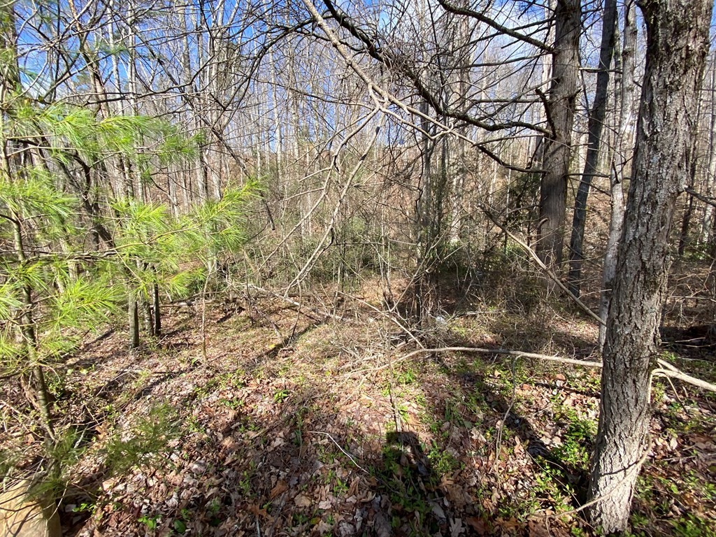 22 Alpine Drive Sevierville, TN 37876 - Photo 4 of 5
