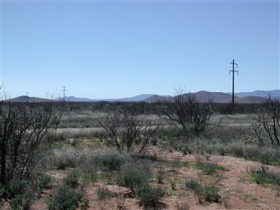 0 Kansas Settlement & Deer Mule Road Pearce, AZ 85625 - Photo 7 of 7