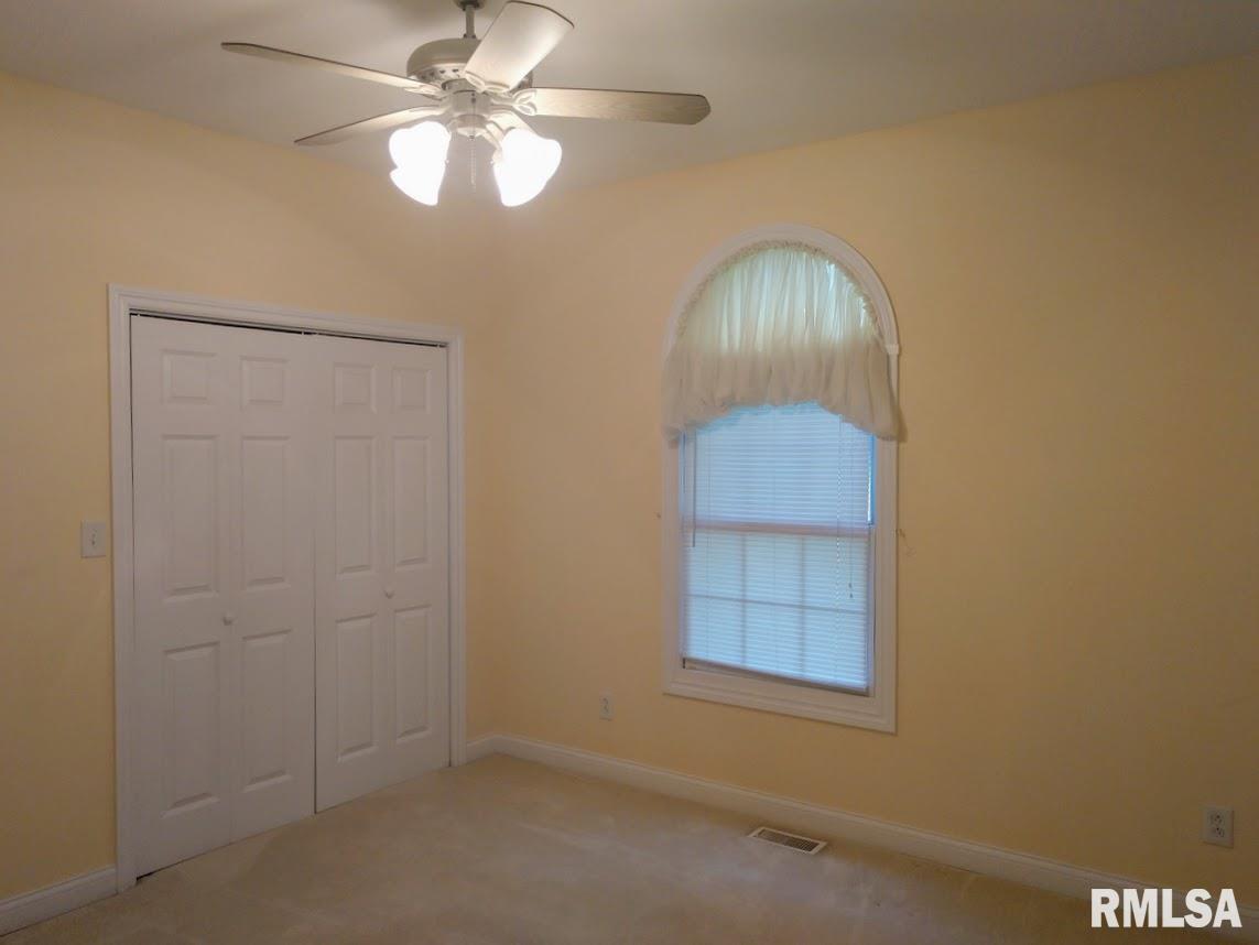 219 North County Line Road Virden, IL 62690 - Photo 18 of 28