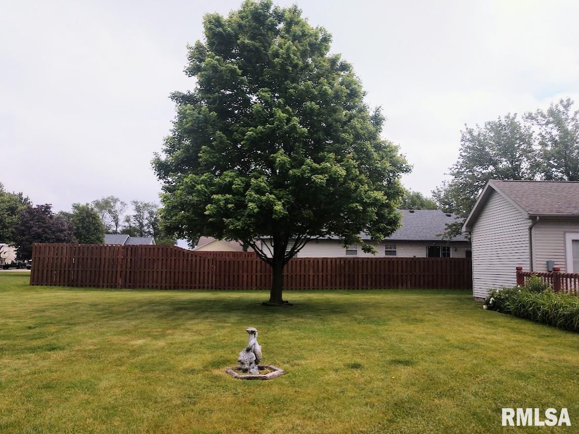 219 North County Line Road Virden, IL 62690 - Photo 7 of 28