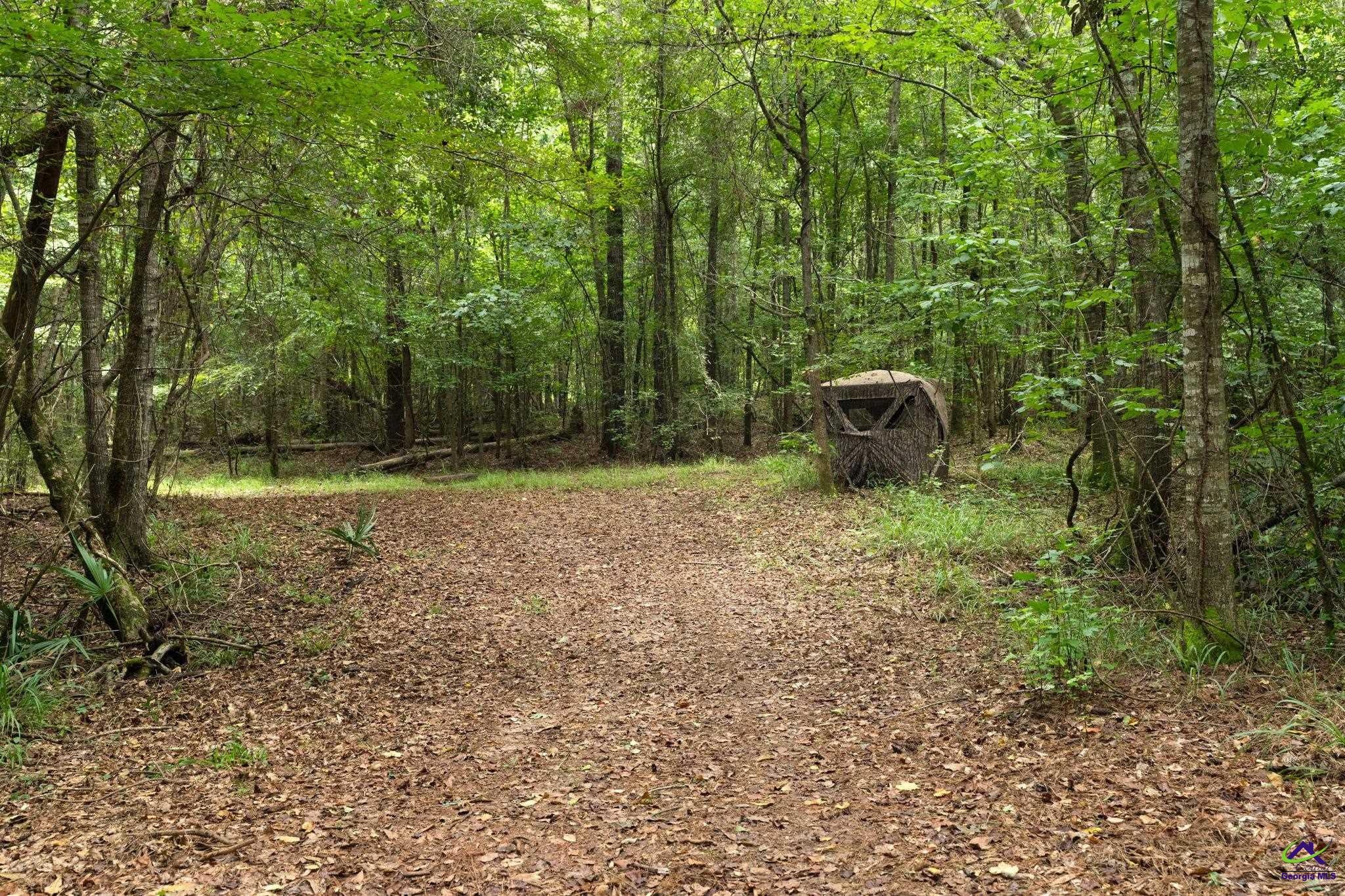1116 County Line Road Unadilla, GA 31091 - Photo 49 of 66 Gallery Image 49
