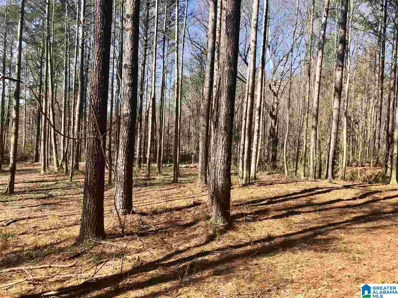 Campbell Street, Unit 1 Heflin, AL 36264 - Photo 9 of 15