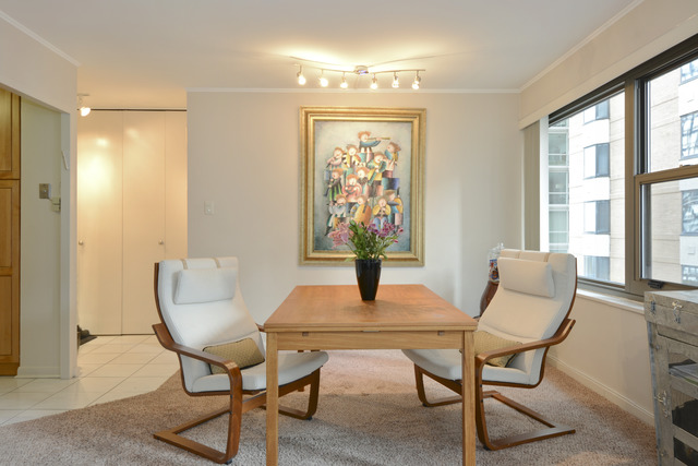 247 East Chestnut Street, Unit 1204 Chicago, IL 60611 - Photo 3 of 8