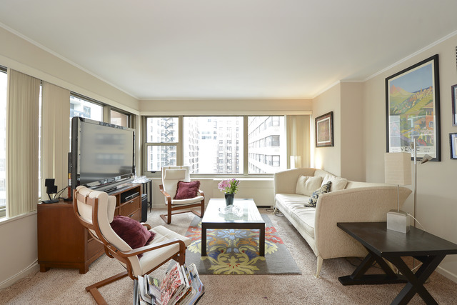247 East Chestnut Street, Unit 1204 Chicago, IL 60611 - Photo 4 of 8