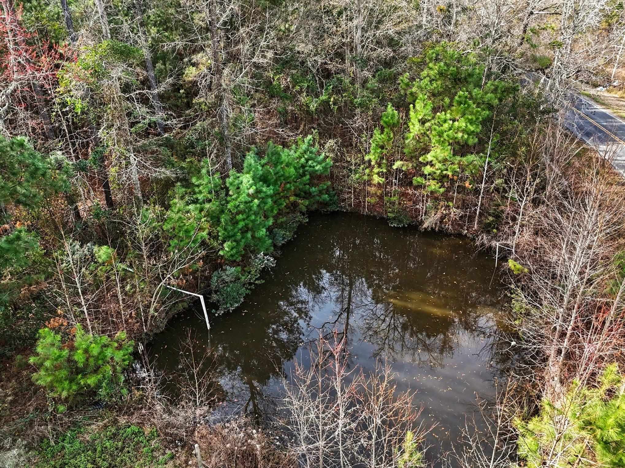 2849 Highway 545 Conway, SC 29526 - Photo 30 of 34