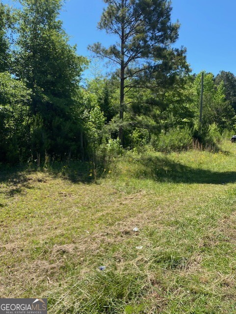 1730 North Walker's Mill Road Griffin, GA 30223 - Photo 6 of 6