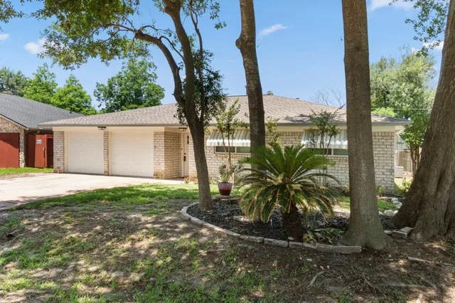 a palm tree sitting in front of a house with a yard