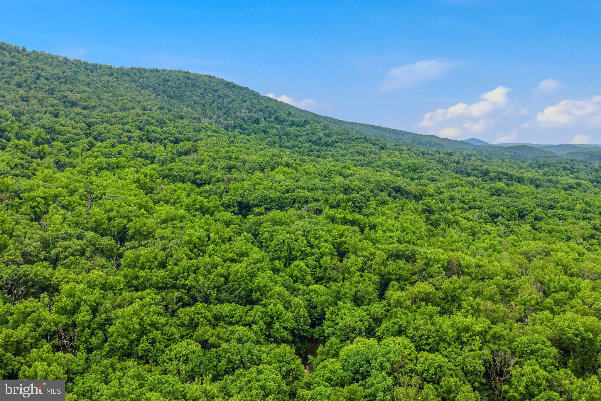 221 Mountainside Road Berkeley Springs, WV 25411 - Photo 41 of 53 Aerial View