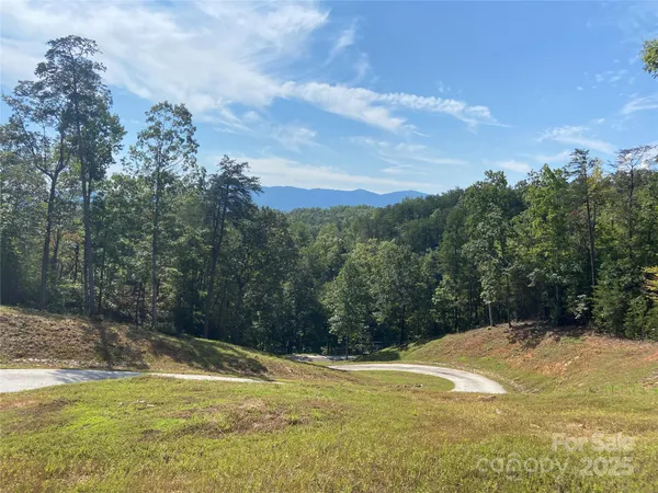 a view of a backyard with a fountain