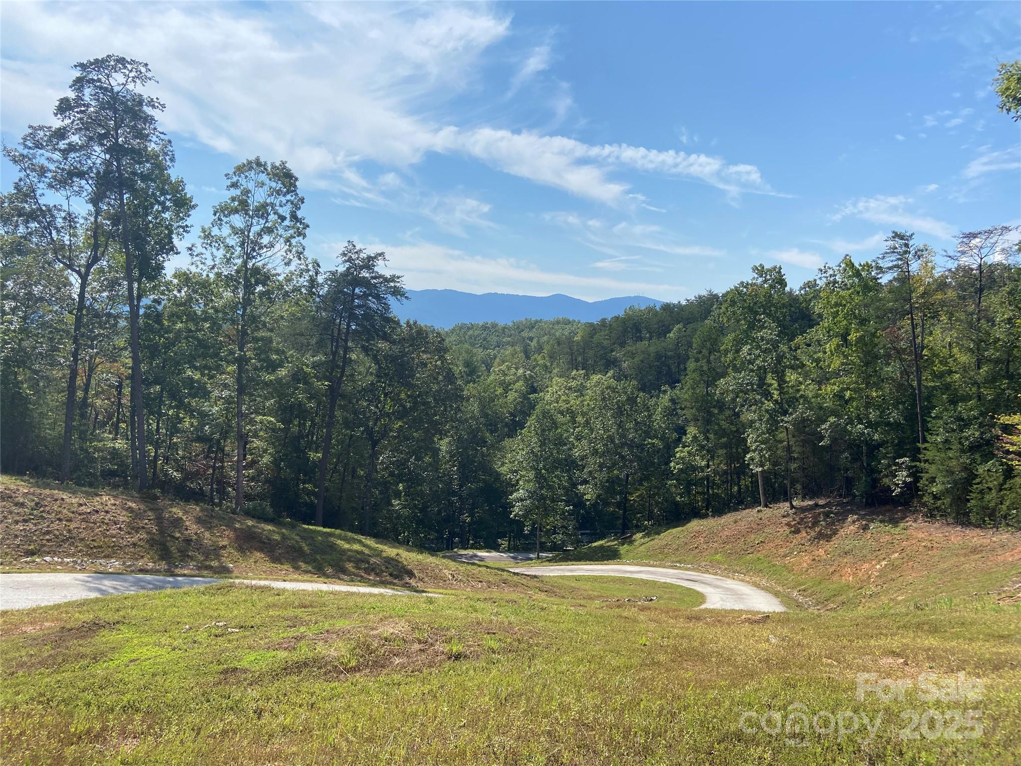a view of a backyard with a fountain