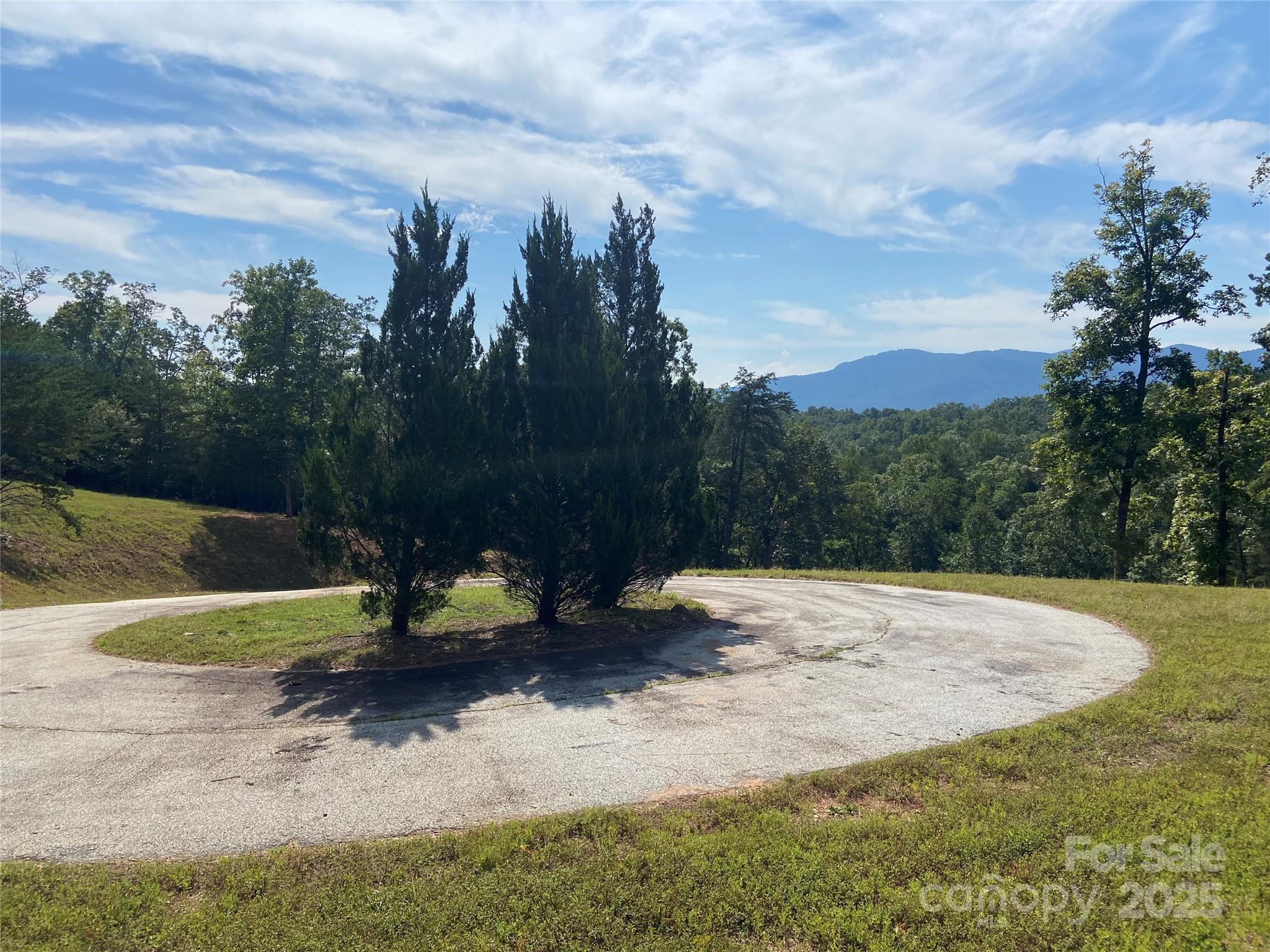 0 Ridgeland Drive Mill Spring, NC 28756 - Photo 4 of 10 a view of outdoor space with trees