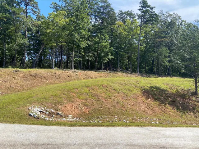 a view of a yard with large trees