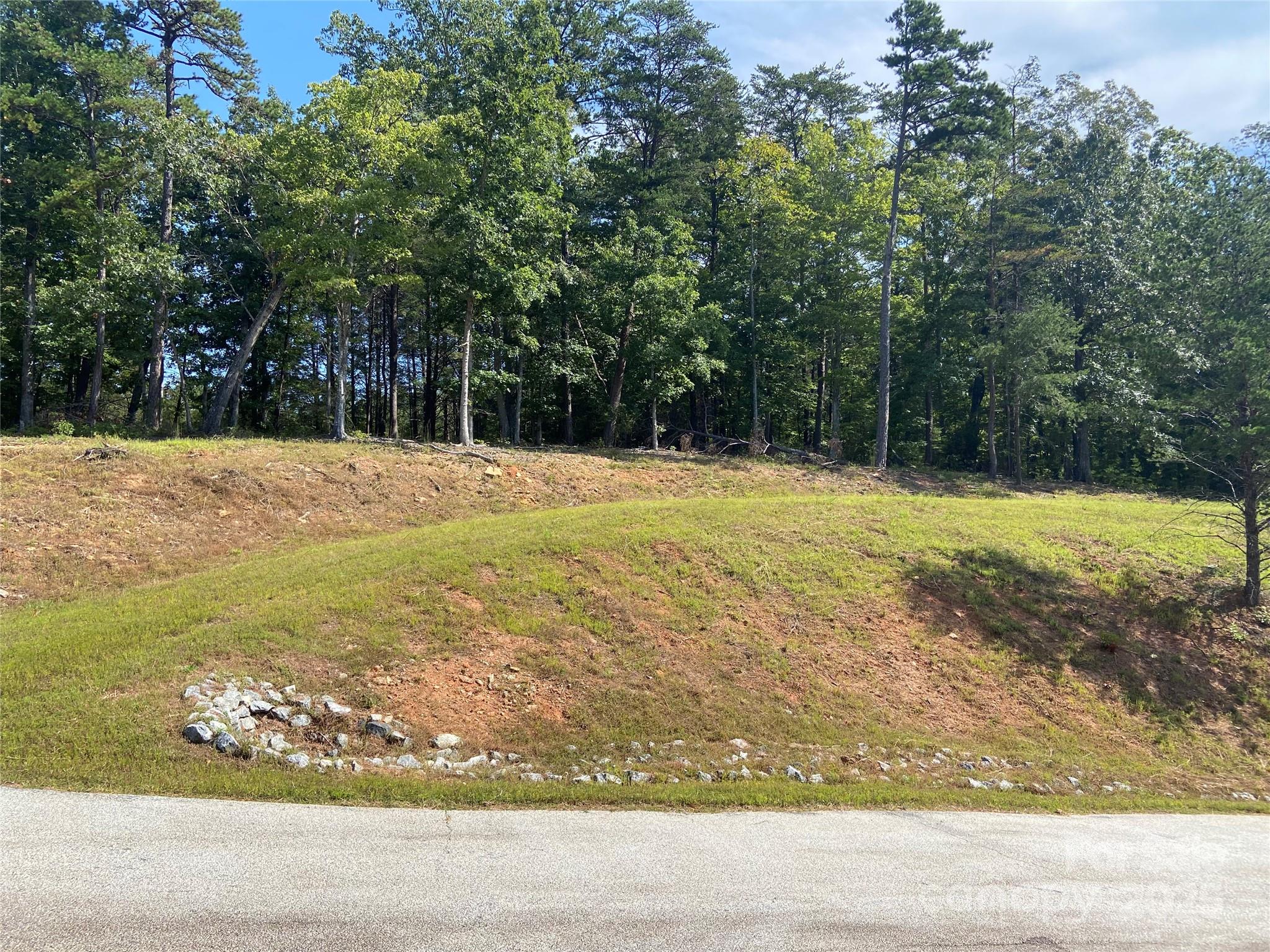0 Ridgeland Drive Mill Spring, NC 28756 - Photo 5 of 10 a view of a yard with large trees