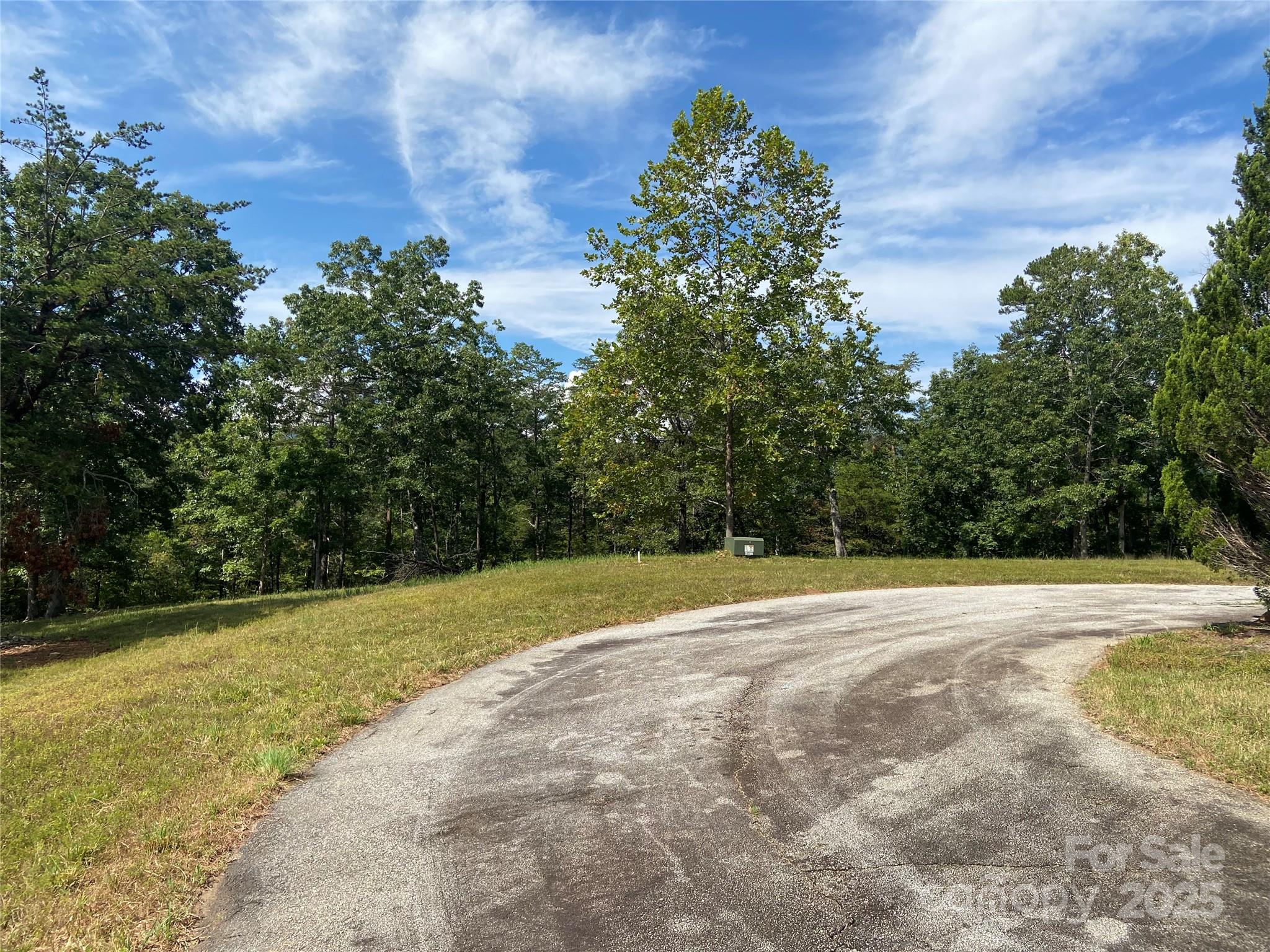 0 Ridgeland Drive Mill Spring, NC 28756 - Photo 7 of 10 a view of a big yard with large trees