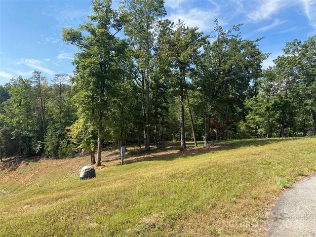 a view of a swimming pool with a yard and trees