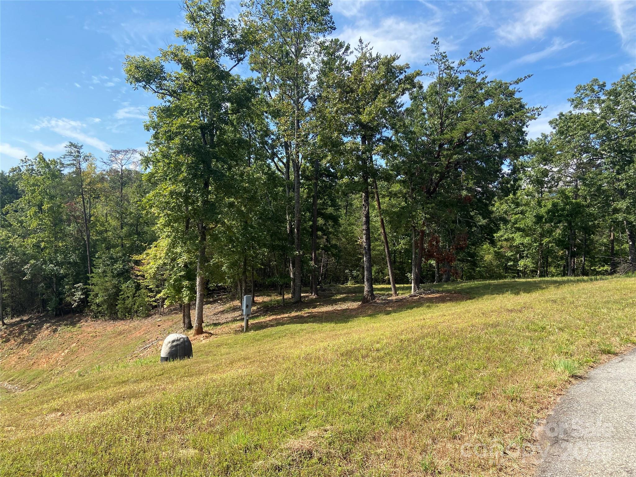0 Ridgeland Drive Mill Spring, NC 28756 - Photo 8 of 10 a view of a swimming pool with a yard and trees