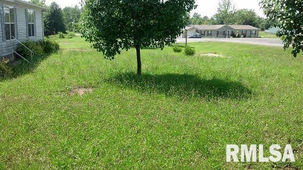 11744 Hafer Road Carterville, IL 62918 - Photo 16 of 18