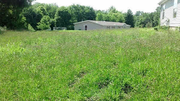 11744 Hafer Road Carterville, IL 62918 - Photo 17 of 18