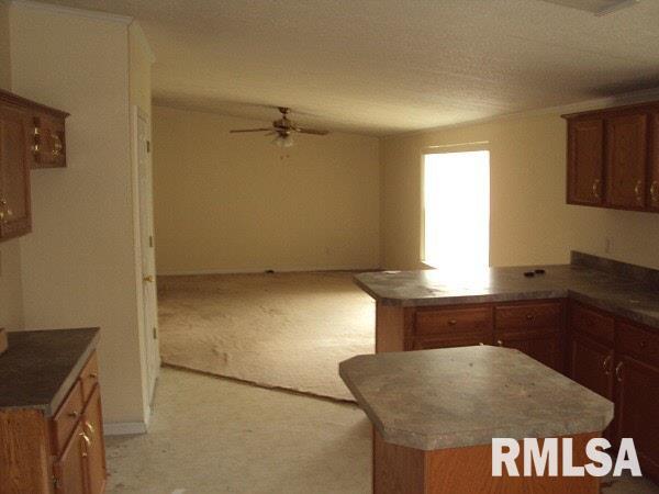 11744 Hafer Road Carterville, IL 62918 - Photo 3 of 18