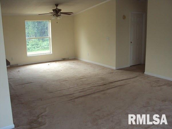 11744 Hafer Road Carterville, IL 62918 - Photo 6 of 18