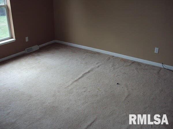 11744 Hafer Road Carterville, IL 62918 - Photo 7 of 18