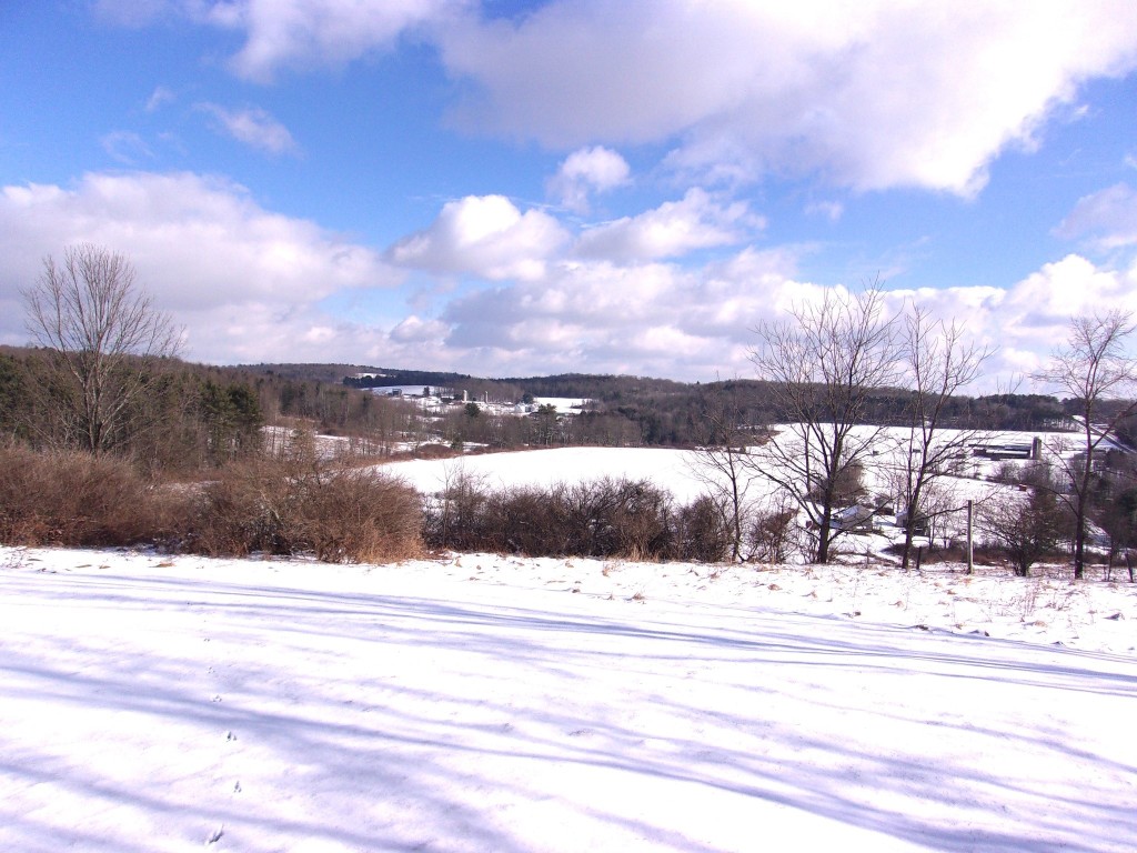 80 Jay Wiggins Road Owego, NY 13827 - Photo 2 of 48 Gallery Image 2