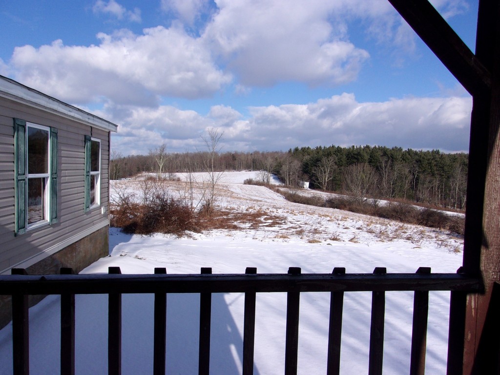 80 Jay Wiggins Road Owego, NY 13827 - Photo 3 of 48 Gallery Image 3