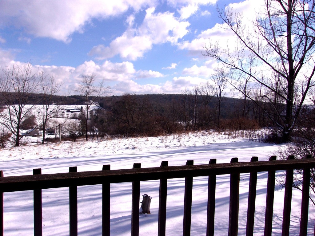 80 Jay Wiggins Road Owego, NY 13827 - Photo 4 of 48 Gallery Image 4